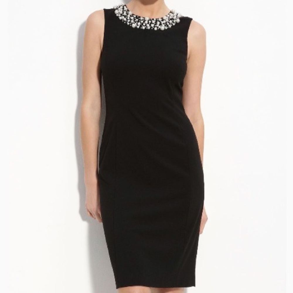 Pearl Neck Professional Dress